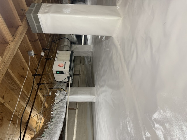 After - Mold Remediation
